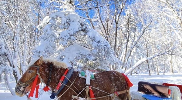 亚布力景观大道