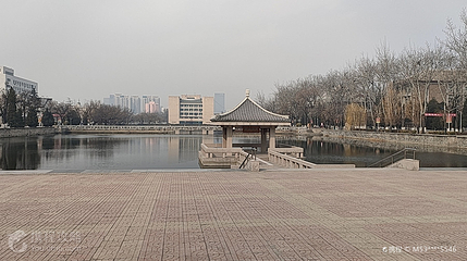 天津大学-敬业湖第 3 张图片