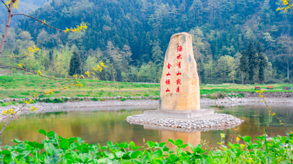 金色清平景区第 1 张图片