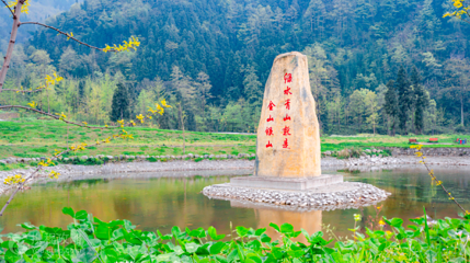 金色清平景区第 2 张图片