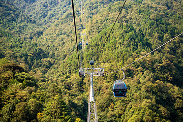 莽山旅游区国家森林公园第 21 张图片