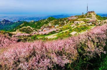 泰山风景区第 42 张图片