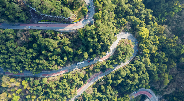 歌乐山国家森林公园