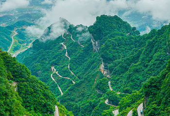 天门山国家森林公园第 79 张图片