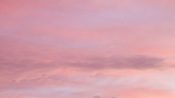 车八岭国家级自然保护区