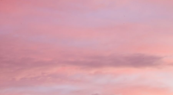 车八岭国家级自然保护区