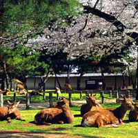 唐韵生态旅游区