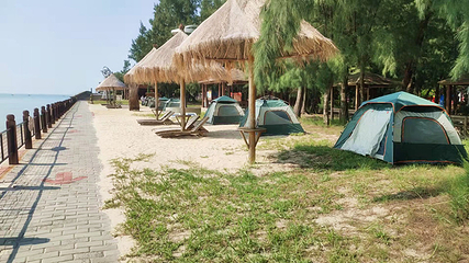 北海金海湾红树林生态旅游区第 42 张图片