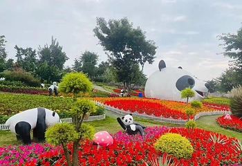 音乐百花谷第 63 张图片
