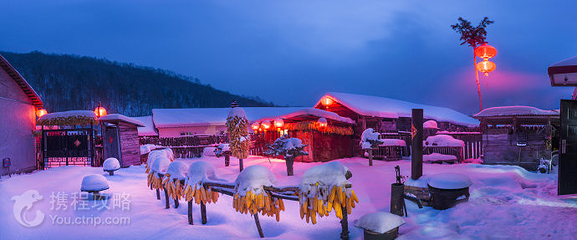 威虎山雪村第 4 张图片