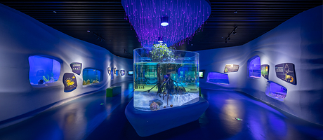 蓝色家园活体展厅