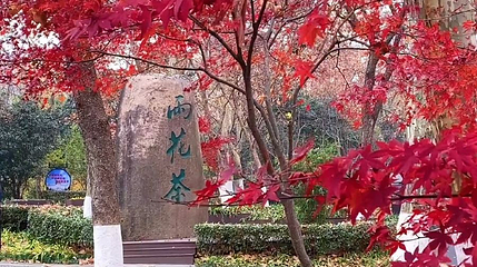 雨花茶文化区第 1 张图片
