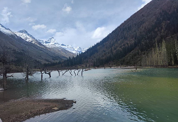 四姑娘山双桥沟景区第 152 张图片