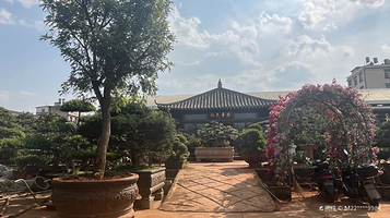 昆明斗南盆景花卉生态园