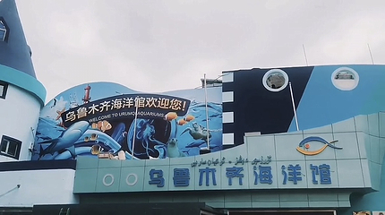 乌鲁木齐海洋馆第 13 张图片