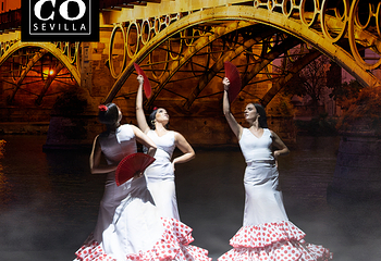 塞维利亚Teatro Flamenco Sevilla弗拉明戈剧院第 27 张图片