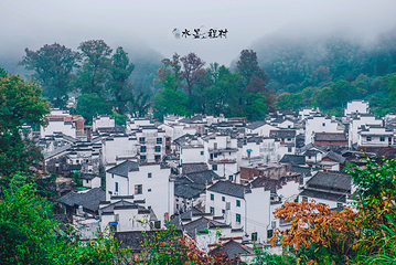 婺源风景区第 165 张图片