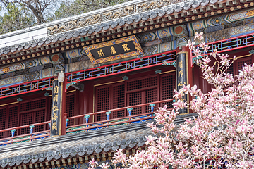 潭柘寺第 22 张图片