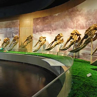 和政古生物化石文化旅游区