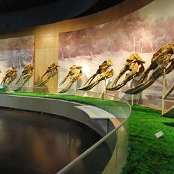 和政古生物化石文化旅游区