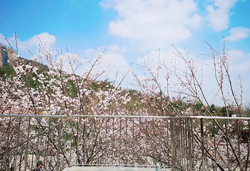 汤山矿坑公园第 25 张图片