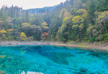 九寨沟爱情海景区第 21 张图片