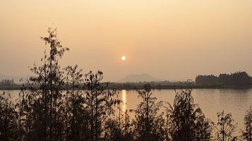 黄杨河湿地公园