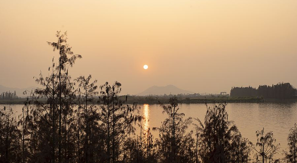 黄杨河湿地公园