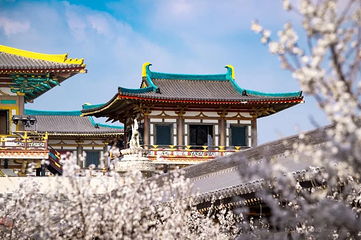 中国唐城第 21 张图片