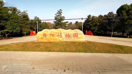 舞阳植物园第 3 张图片