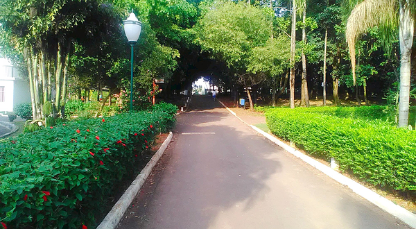 Jardim Botanico De Americana