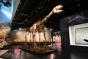 柳州白莲洞洞穴科学博物馆