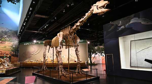 柳州白莲洞洞穴科学博物馆