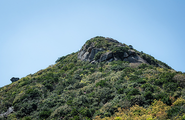 朱家尖大青山景区第 17 张图片