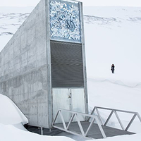 斯瓦尔巴全球种子库