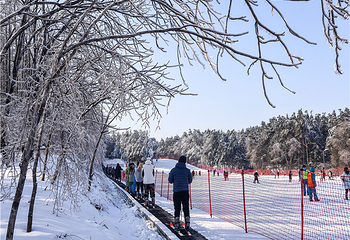 净月潭滑雪场第 9 张图片