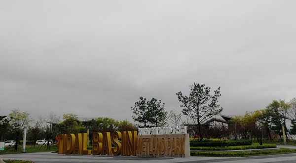 潮汐湖湿地公园