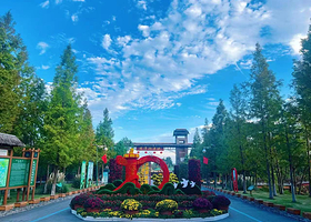 泗洪洪泽湖湿地景区