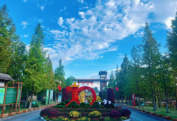 泗洪洪泽湖湿地景区第 1 张图片