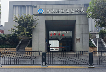 武汉两江游览·苗家码头/武汉关2号码头(夜游长江)第 18 张图片