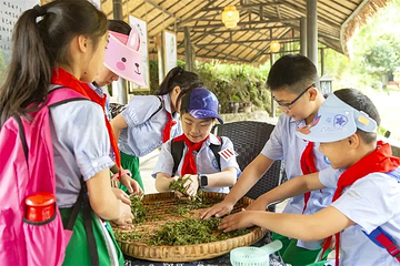 茶溪谷第 49 张图片
