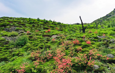 云冰山旅游景区第 12 张图片