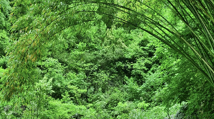 巴喇谷风景区第 4 张图片