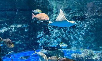 热带雨林探险径