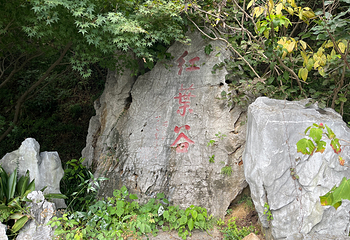 栖霞山第 102 张图片