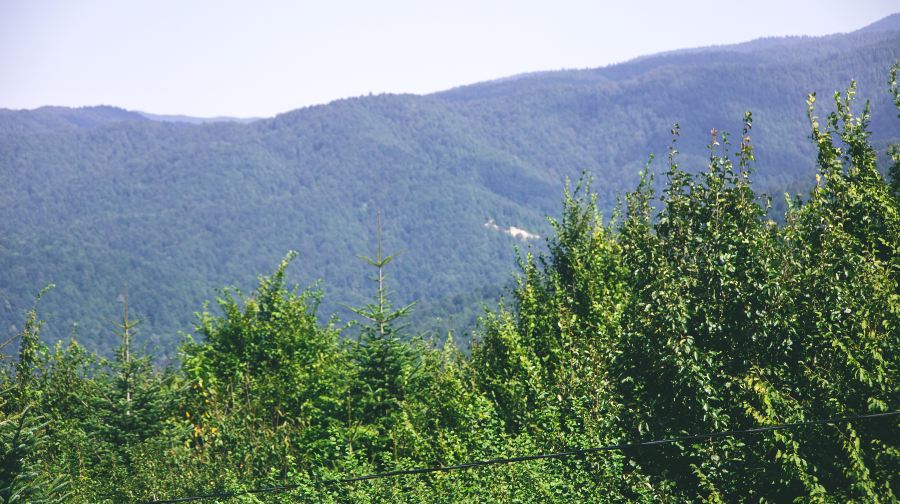 野河山景区