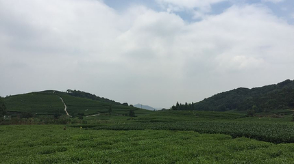 杭州西湖风景名胜区-大清谷第 1 张图片