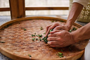 积庆里红茶谷第 53 张图片