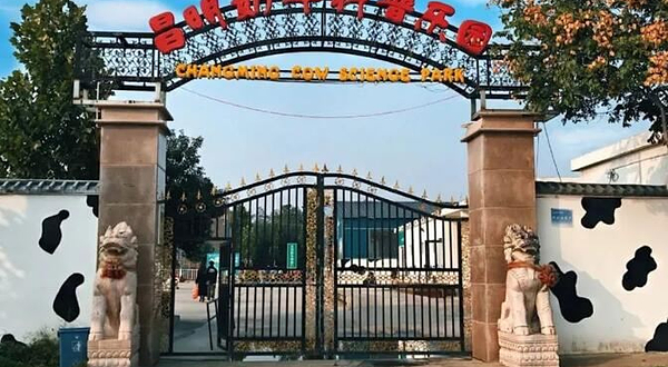 昌明奶牛科普乐园