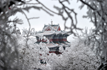 天门山国家森林公园第 78 张图片